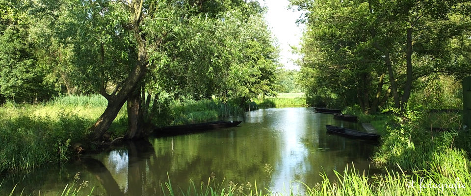 Spreewald Ferienwohnung und Appartment Petra